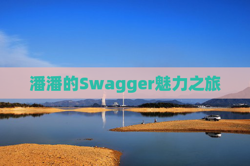 潘潘的Swagger魅力之旅